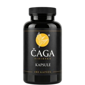 Kapsule s extraktom z čagy – 180 ks