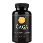 Čaga Sibírska – želatínové kapsule 500 ks