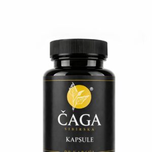 caga_sibirska_kapsule_90 Čaga Sibírska KAPSULE 90 ks