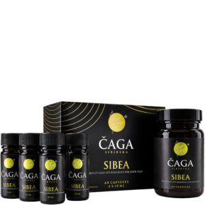 Vlasový olej s extraktom z čagy + kapsule s extraktom z čagy – 60 ks